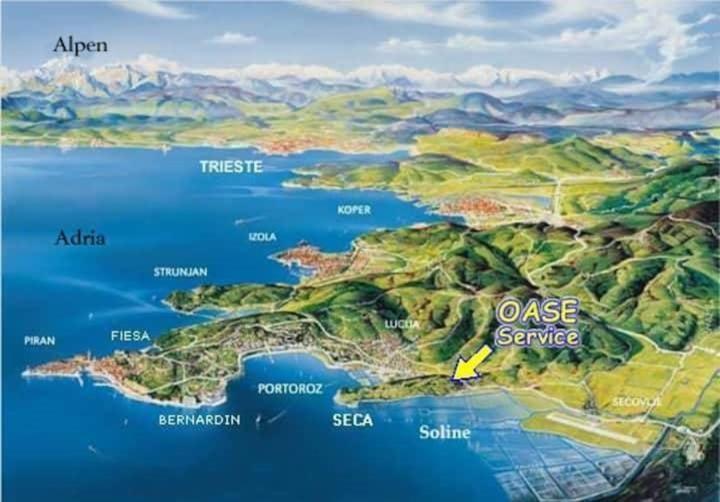 Vista Del Sal Lejlighed Portorož Eksteriør billede