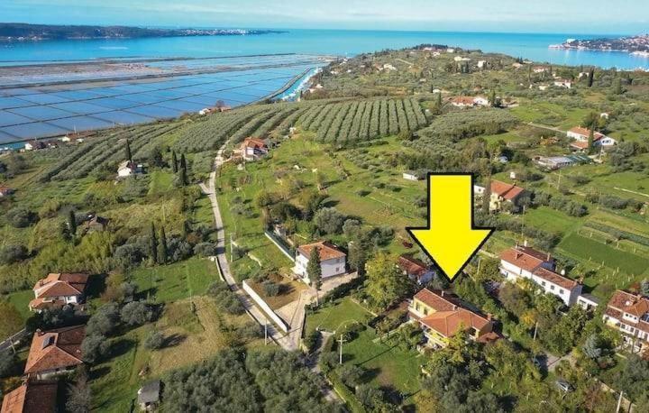 Vista Del Sal Lejlighed Portorož Eksteriør billede